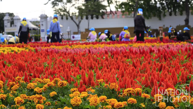จิตอาสาเตรียมสถานที่จัดงาน "อุ่นไอรัก คลายความหนาว"