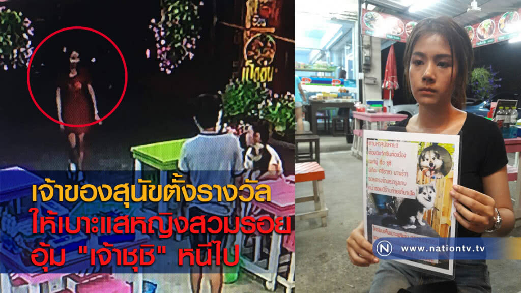 เจ้าของสุนัขตั้งรางวัลให้เบาะแสหญิงสวมรอยอุ้ม "เจ้าชุชิ" หนีไป เจ้าของสุนัขตั้งรางวัลให้เบาะแสหญิงสวมรอยอุ้ม "เจ้าชุชิ" หนีไป