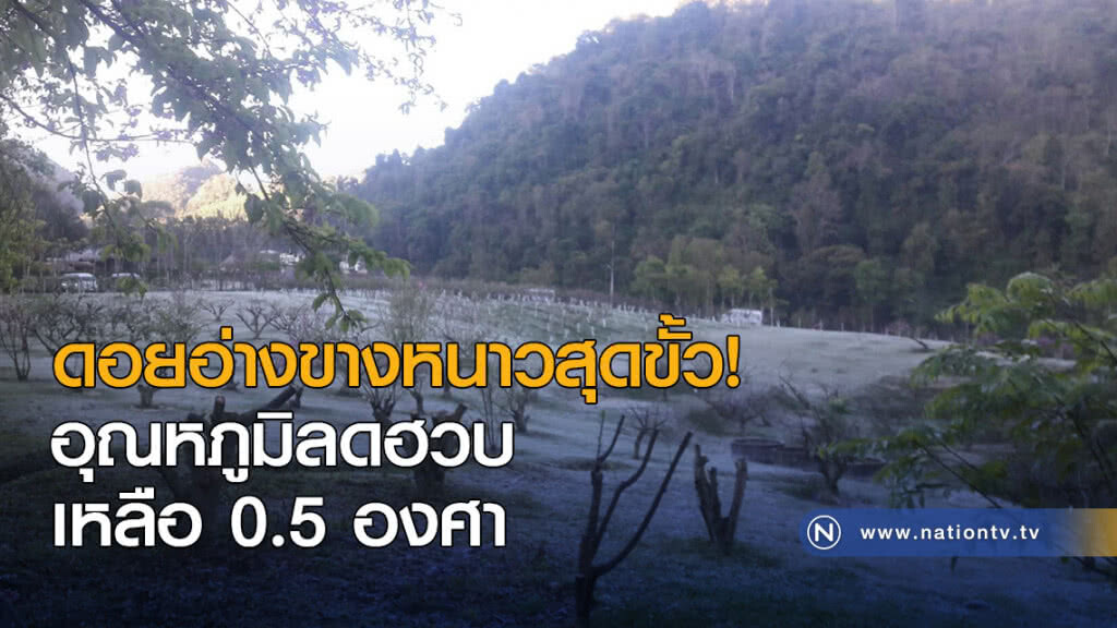 ดอยอ่างขางหนาวสุดขั้ว! อุณหภูมิลดฮวบเหลือ 0.5 องศา ดอยอ่างขางหนาวสุดขั้ว! อุณหภูมิลดฮวบเหลือ 0.5 องศา