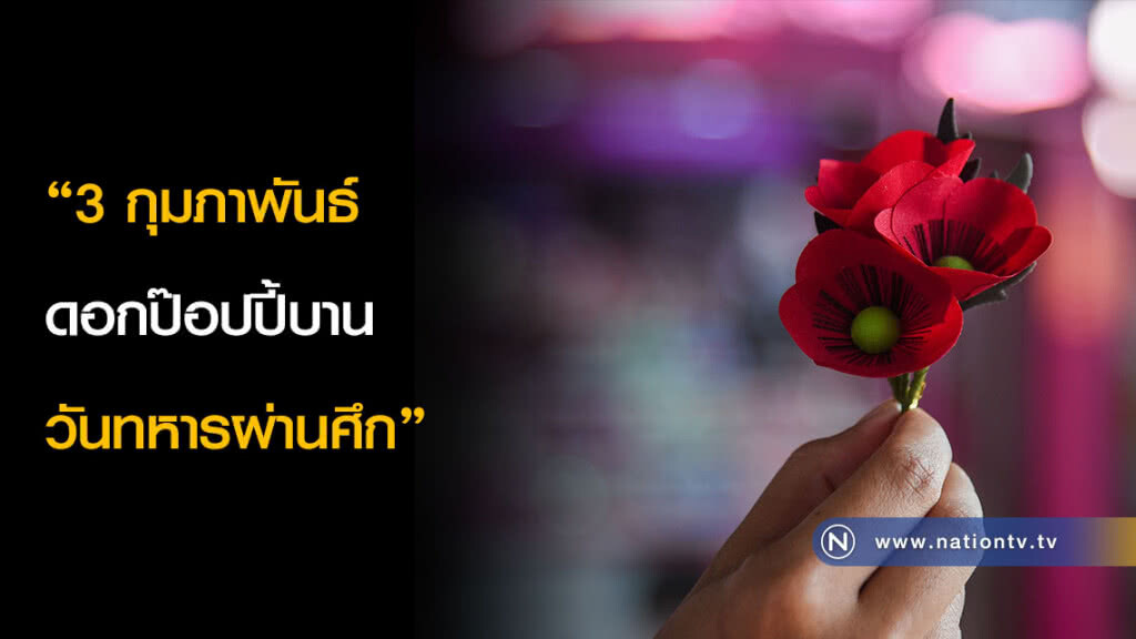 "3 กุมภาพันธ์ ดอกป๊อปปี้บานวันทหารผ่านศึก" "3 กุมภาพันธ์ ดอกป๊อปปี้บานวันทหารผ่านศึก"