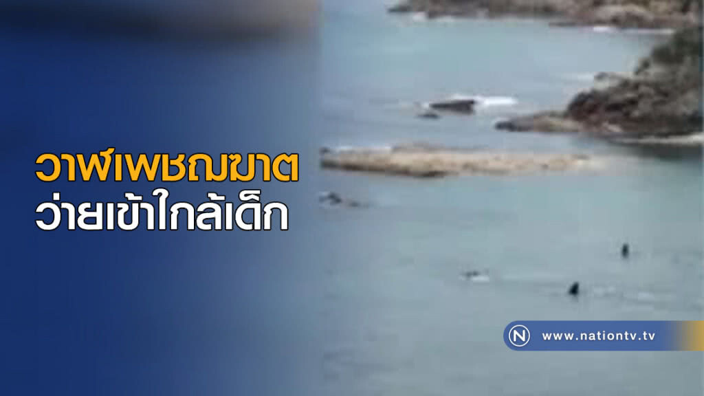 สุดระทึก! วาฬเพชฌฆาต ว่ายเข้าใกล้เด็ก สุดระทึก! วาฬเพชฌฆาต ว่ายเข้าใกล้เด็ก