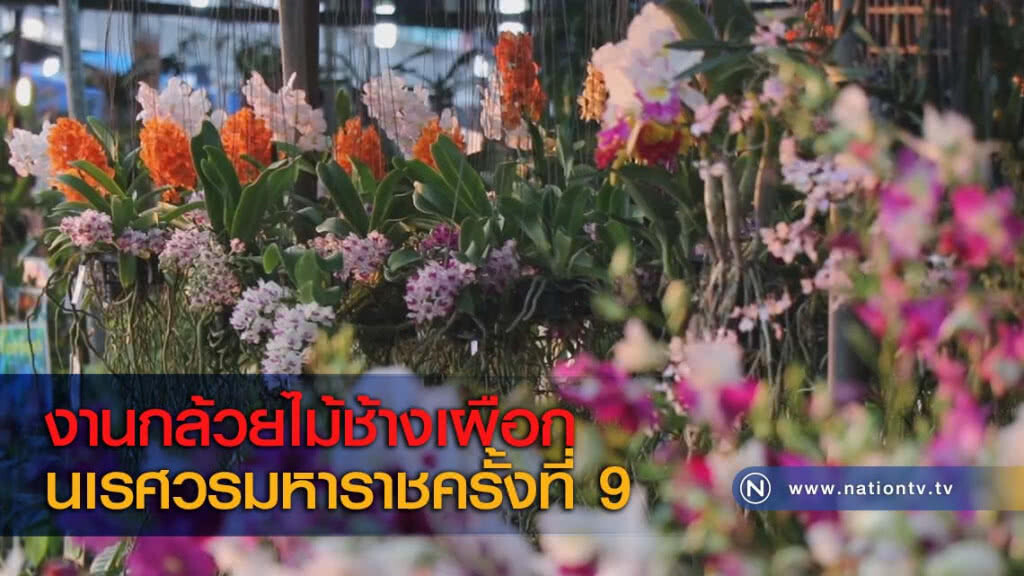งานกล้วยไม้ช้างเผือกนเรศวรมหาราชครั้งที่ 9