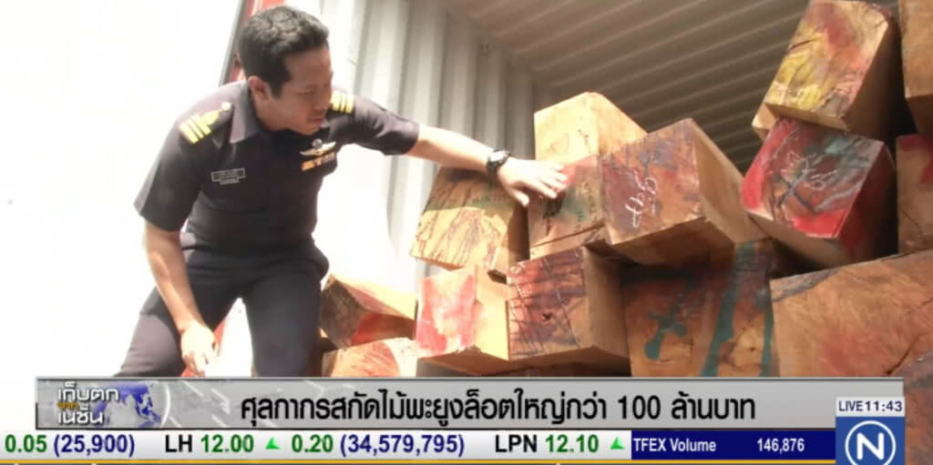 จับลักลอบขนไม้พะยูงไปฮ่องกง 6 ตู้คอนเทนเนอร์ กว่า 100 ล้าน