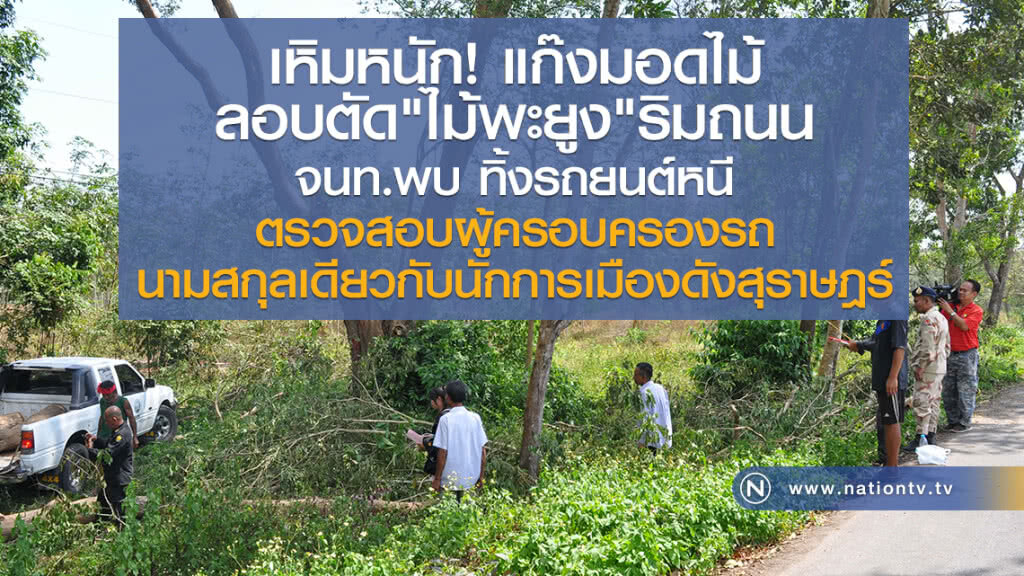 เหิมหนัก! แก๊งมอดไม้
ลอบตัดไม้พะยูง ริมถนนสายเอเชีย
จนท.พบ ทิ้งรถยนต์หนี