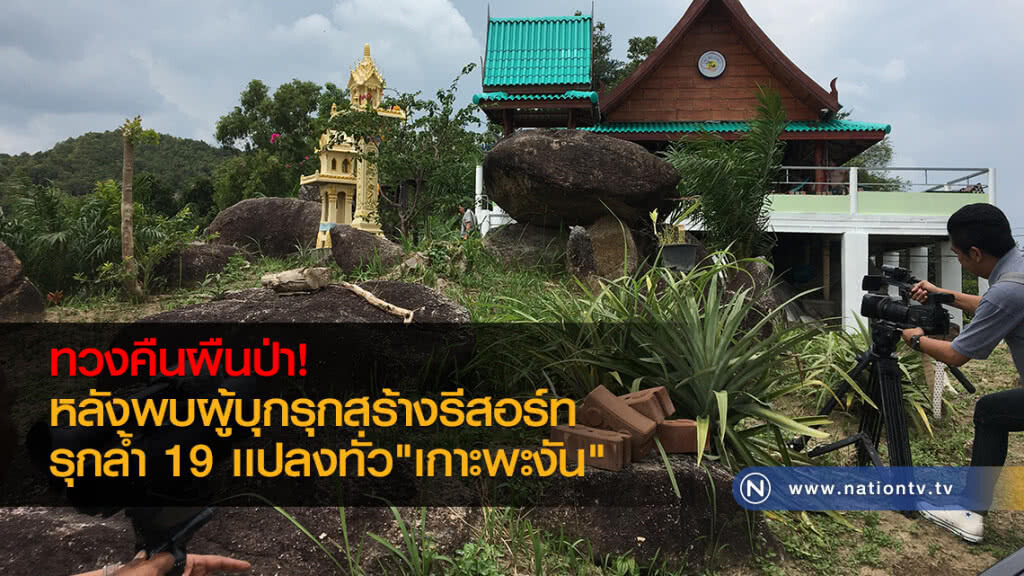 ทวงคืนผืนป่า
หลังพบผู้บุกรุกสร้างรีสอร์ท
รุกล้ำ 19 เเปลงทั่ว"เกาะพะงัน"