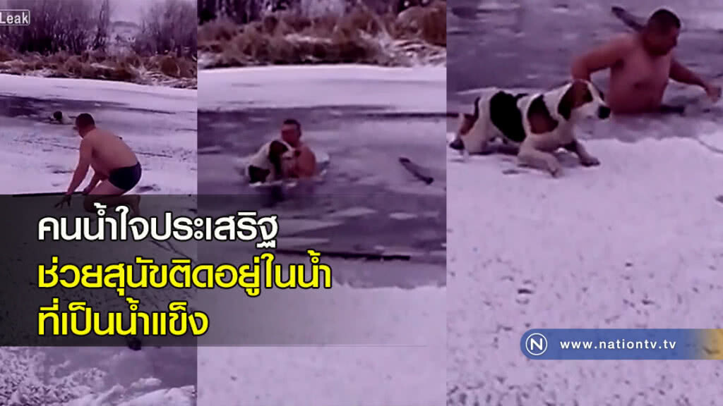 คนน้ำใจประเสริฐ ช่วยสุนัขติดอยู่ในน้ำ ที่เป็นน้ำแข็ง คนน้ำใจประเสริฐ ช่วยสุนัขติดอยู่ในน้ำ ที่เป็นน้ำแข็ง