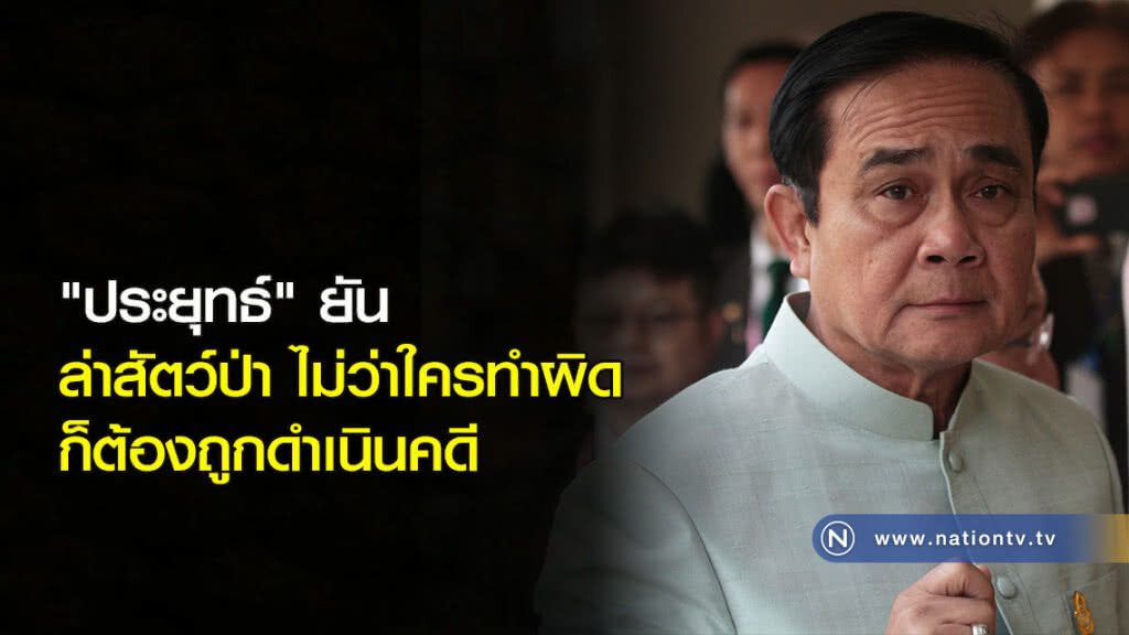 "ประยุทธ์" ยัน ล่าสัตว์ป่า ไม่ว่าใครทำผิด ก็ต้องถูกดำเนินคดี "ประยุทธ์" ยัน ล่าสัตว์ป่า ไม่ว่าใครทำผิด ก็ต้องถูกดำเนินคดี