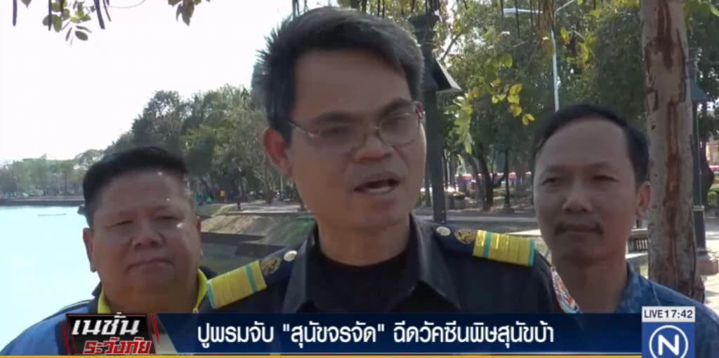 ปศุสัตว์จับสุนัขจรจัดฉีดวัคซีน ปศุสัตว์จับสุนัขจรจัดฉีดวัคซีน