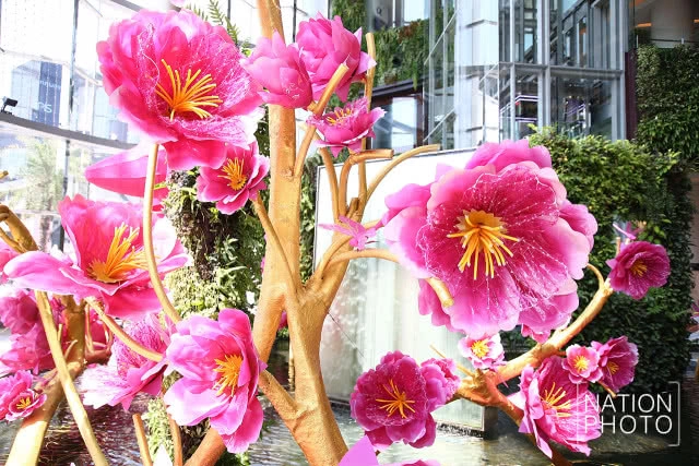 สยามพารากอนจัดซุ้มดอกเหมยประดับไฟต้อนรับเทศกาลตรุษจีน