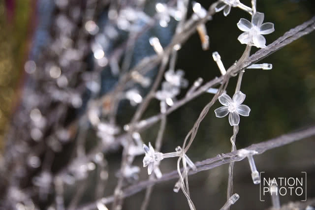 สยามพารากอนจัดซุ้มดอกเหมยประดับไฟต้อนรับเทศกาลตรุษจีน