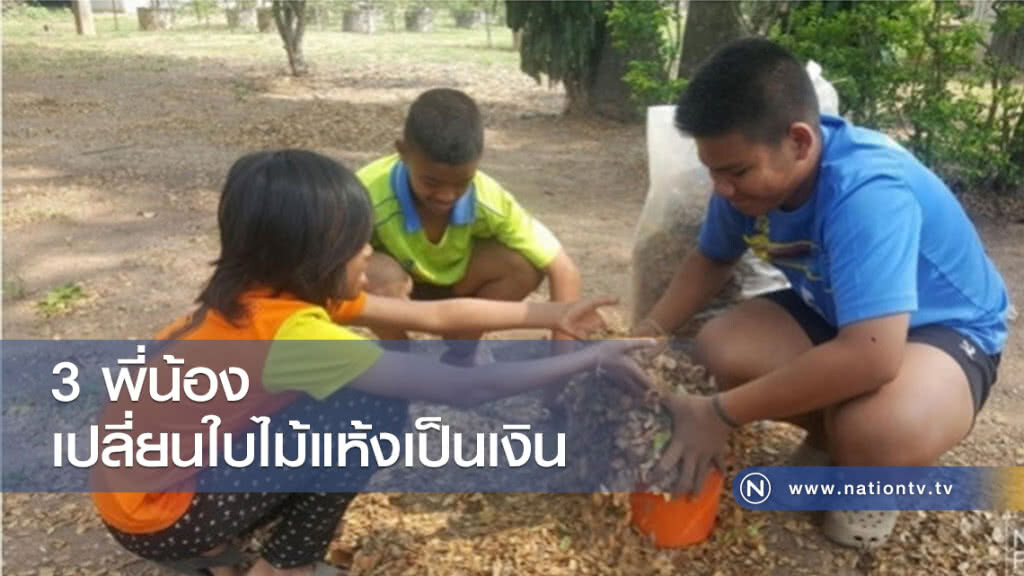 3 พี่น้องเปลี่ยนใบไม้แห้งเป็นเงิน 3 พี่น้องเปลี่ยนใบไม้แห้งเป็นเงิน