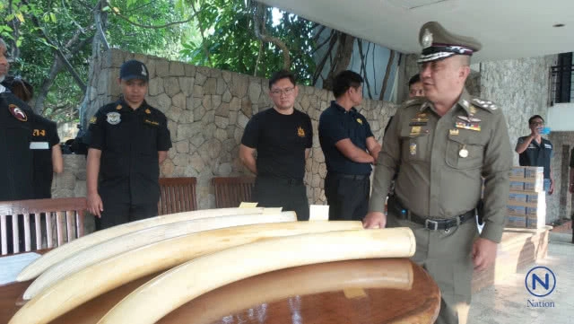 ค้นบ้าน"เปรมชัย" พบ
"งาช้าง-ปืน 40 กระบอก"
ศรีวราห์"ยัน
ตรวจพบลายนิ้วมือ-ดีเอ็นเอใคร
ดำเนินคดีทุกคน