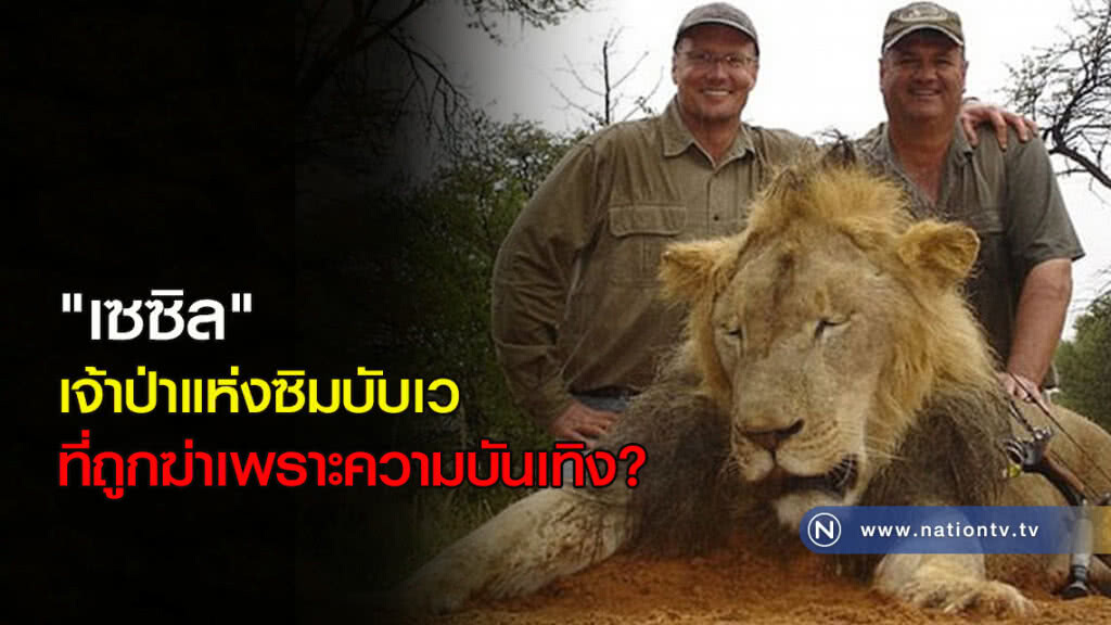 "เซซิล" เจ้าป่าแห่งซิมบับเว ที่ถูกฆ่าเพราะความบันเทิง?