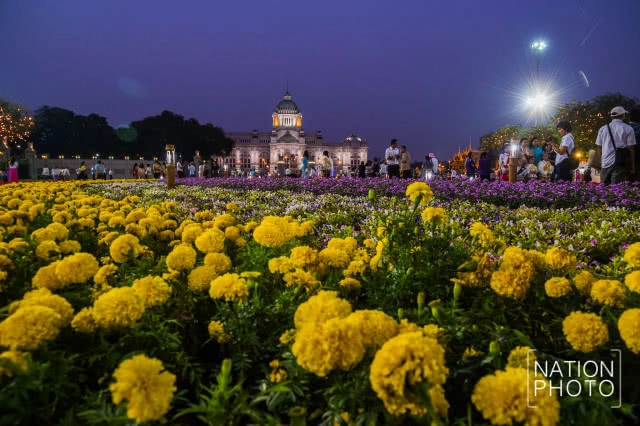 แสงสีตระการตาในงาน "อุ่นไอรัก คลายความหนาว"