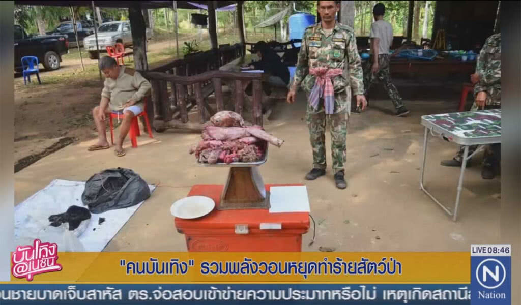 "คนบันเทิง" รวมพลังวอนหยุดทำร้ายสัตว์ป่า