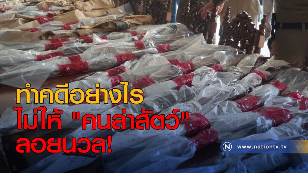 ทำคดีอย่างไร ไม่ให้ "คนล่าสัตว์" ลอยนวล!