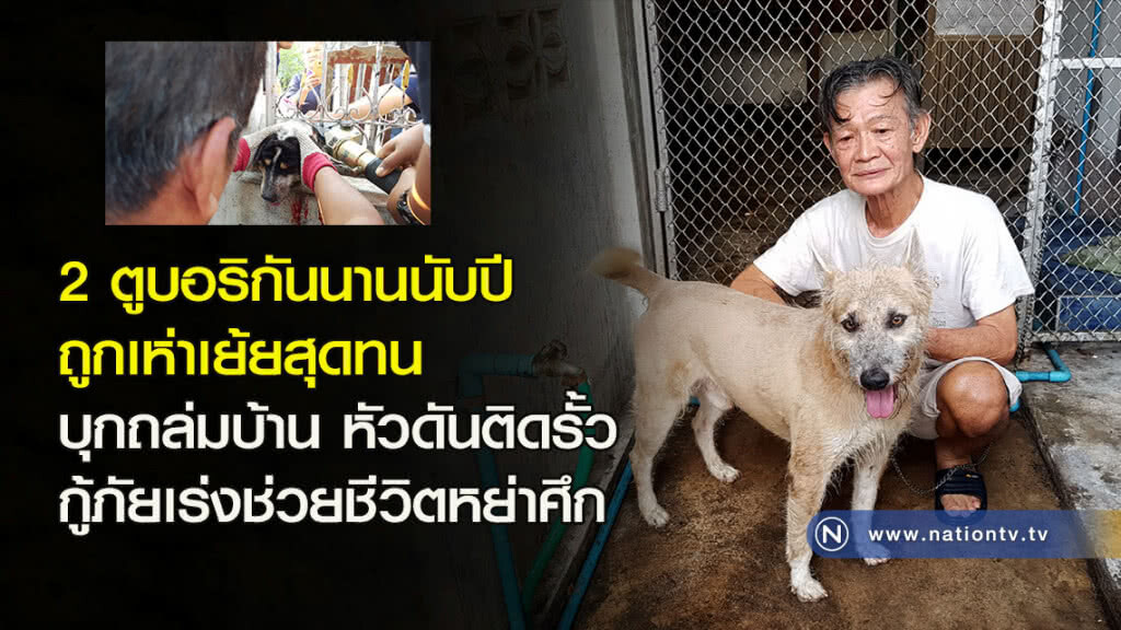 2 ตูบอริกันนานนับปี ถูกเห่าเย้ยสุดทนบุกถล่มบ้าน หัวดันติดรั้วกู้ภัยเร่งช่วยชีวิตหย่าศึก