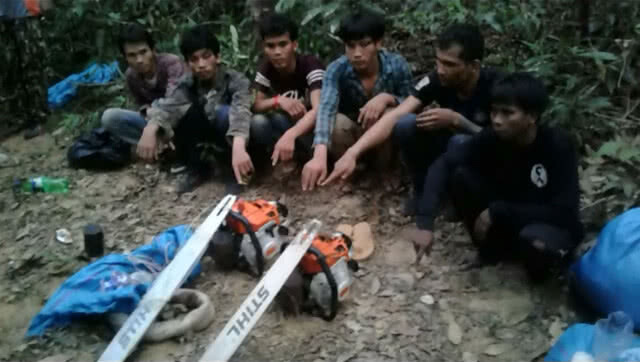 อุทยานทับลานจับ 6 เขมรลอบตัดไม้พยุง
