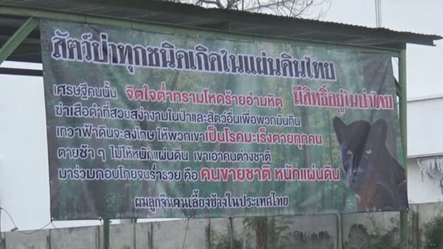 นักธุรกิจพิษณุโลก ขึ้นป้ายสาปแช่งเศรษฐีคนยิงเสือดำให้เป็นโรคมะเร็งตาย