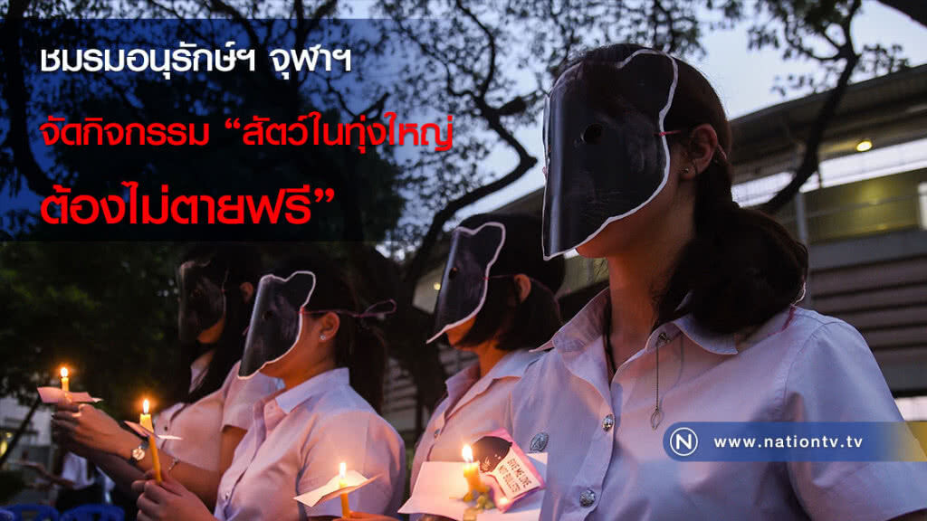 ชมรมอนุรักษ์ฯ จุฬาฯ จัดกิจกรรม "สัตว์ในทุ่งใหญ่ ต้องไม่ตายฟรี" ชมรมอนุรักษ์ฯ จุฬาฯ จัดกิจกรรม "สัตว์ในทุ่งใหญ่ ต้องไม่ตายฟรี"