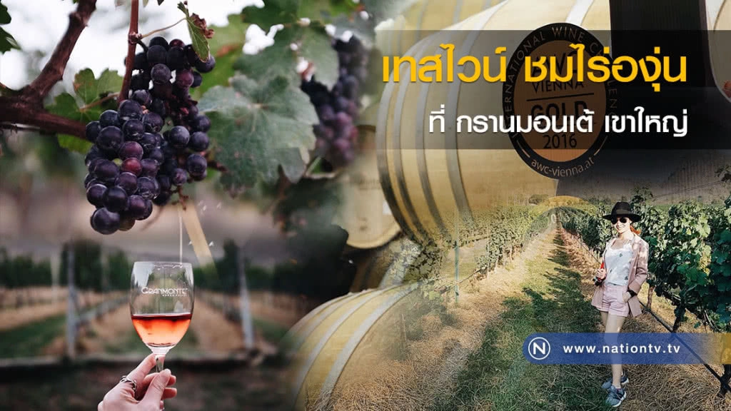 เทสไวน์ ชมไร่องุ่น ที่ กรานมอนเต้ เขาใหญ่ เทสไวน์ ชมไร่องุ่น ที่ กรานมอนเต้ เขาใหญ่