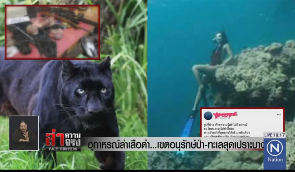 อุทาหรณ์ล่าเสือดำ... เขตอนุรักษ์ป่า-ทะเลสุดเปราะบาง