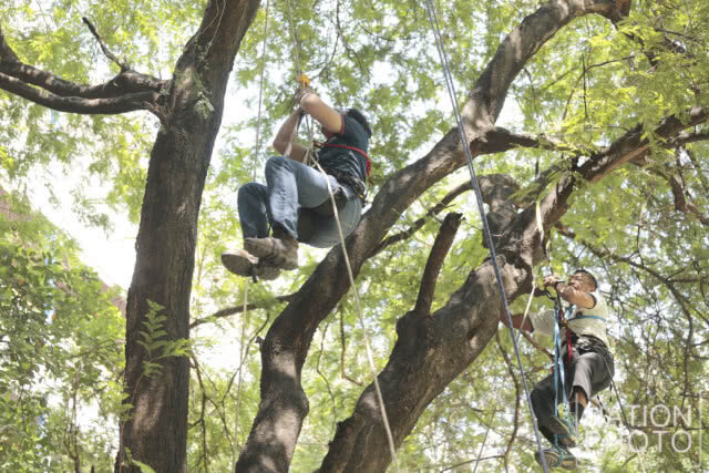 คณะวิทยาศาสตร์ มหิดล จัดงาน "วันรักนกเงือก"