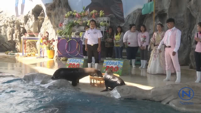 สวนสัตว์จัดงานแต่งแมวน้ำ
