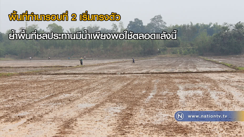 พื้นที่ทำนารอบที่ 2 เริ่มทรงตัว ย้ำพื้นที่ชลประทานมีน้ำเพียงพอใช้ตลอดแล้งนี้