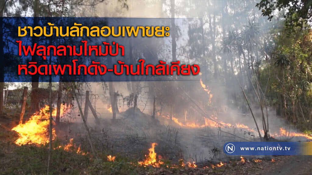 ชาวบ้านลักลอบเผาขยะ ไฟลุกลามไหม้ป่าหวิดเผาโกดัง-บ้านใกล้เคียง ชาวบ้านลักลอบเผาขยะ ไฟลุกลามไหม้ป่าหวิดเผาโกดัง-บ้านใกล้เคียง