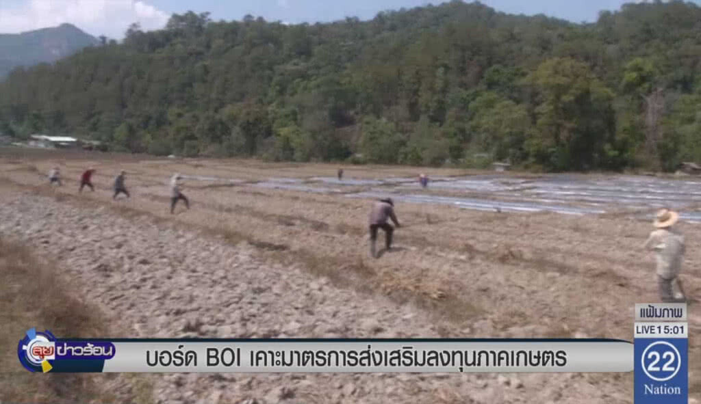 บอร์ด BOI เคาะมาตรการส่งเสริมลงทุนภาคเกษตร บอร์ด BOI เคาะมาตรการส่งเสริมลงทุนภาคเกษตร