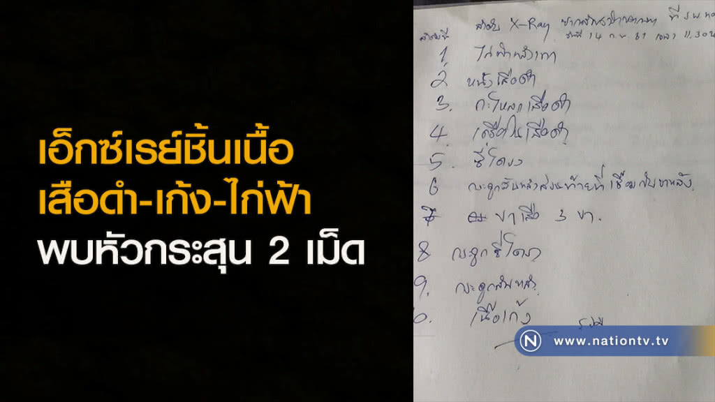 เอ็กซ์เรย์ชิ้นเนื้อเสือดำ-เก้ง-ไก่ฟ้าพบหัวกระสุน2เม็ด เอ็กซ์เรย์ชิ้นเนื้อเสือดำ-เก้ง-ไก่ฟ้าพบหัวกระสุน2เม็ด