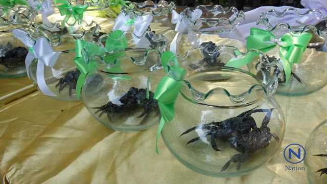 10 คู่รักระยอง
จดทะเบียนสมรส
บนสะพานรักษ์แสมในวันวาเลนไทน์