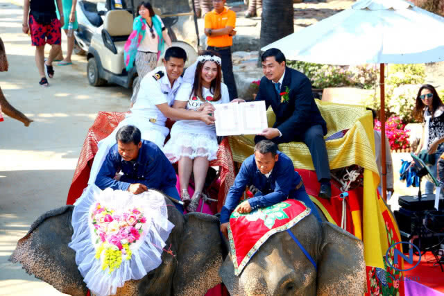 "สวนนงนุชพัทยา" จดทะเบียนบนหลังช้าง 99 คู่ พาคู่รักตะลุยดินแดนสัตว์โลกล้านปี