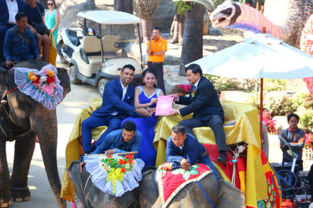"สวนนงนุชพัทยา" จดทะเบียนบนหลังช้าง 99 คู่ พาคู่รักตะลุยดินแดนสัตว์โลกล้านปี