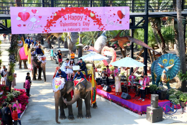 "สวนนงนุชพัทยา" จดทะเบียนบนหลังช้าง 99 คู่ พาคู่รักตะลุยดินแดนสัตว์โลกล้านปี