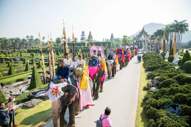 "สวนนงนุชพัทยา" จดทะเบียนบนหลังช้าง 99 คู่ พาคู่รักตะลุยดินแดนสัตว์โลกล้านปี