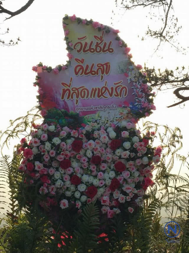 14 คู่รัก
พิชิตยอดภูกระดึง
จดทะเบียนวาเลนไทน์