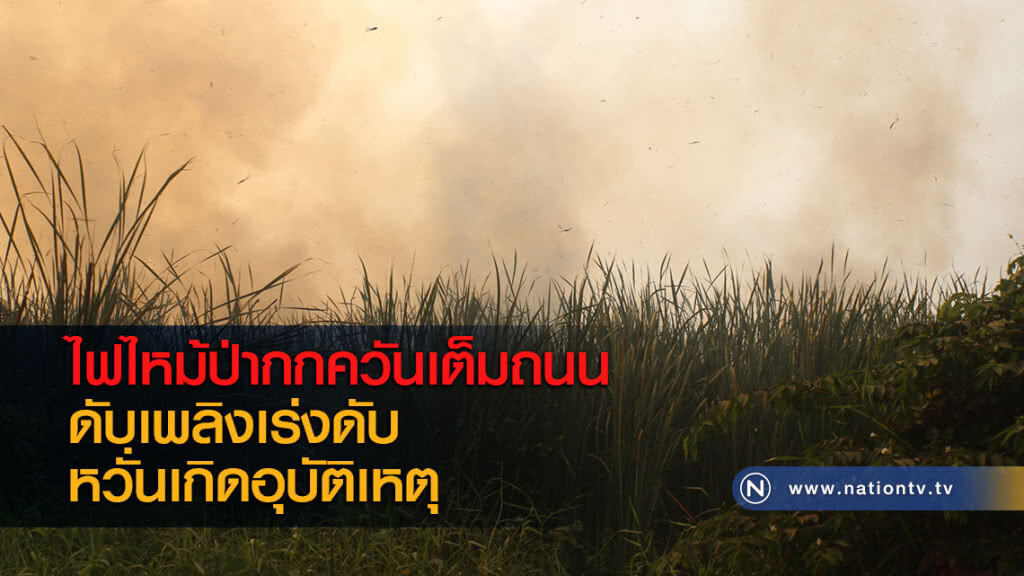 ไฟไหม้ป่ากกควันเต็มถนนดับเพลิงเร่งดับหวั่นเกิดอุบัติเหตุ ไฟไหม้ป่ากกควันเต็มถนนดับเพลิงเร่งดับหวั่นเกิดอุบัติเหตุ