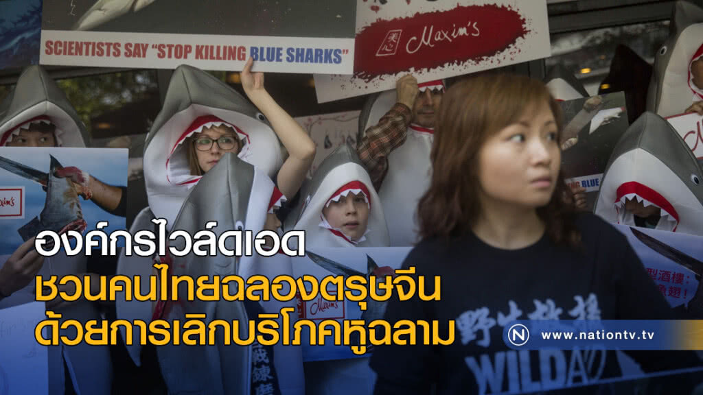 องค์กรไวล์ดเอด ชวนคนไทยฉลองตรุษจีน ด้วยการเลิกบริโภคหูฉลาม