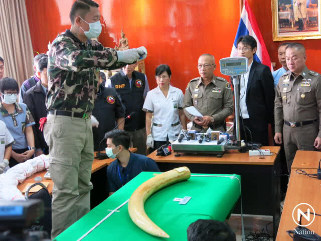 ตรวจงาช้าง "เปรมชัย" พบมีมูลค่ากว่า 2 ล้าน คาด 3 สัปดาห์รู้ผล