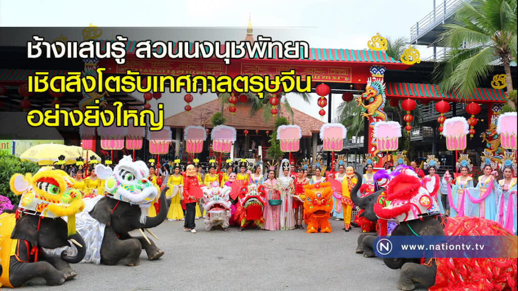 ช้างแสนรู้สวนนงนุชพัทยา เชิดสิงโตรับเทศกาลตรุษจีนอย่างยิ่งใหญ่ ช้างแสนรู้สวนนงนุชพัทยา เชิดสิงโตรับเทศกาลตรุษจีนอย่างยิ่งใหญ่