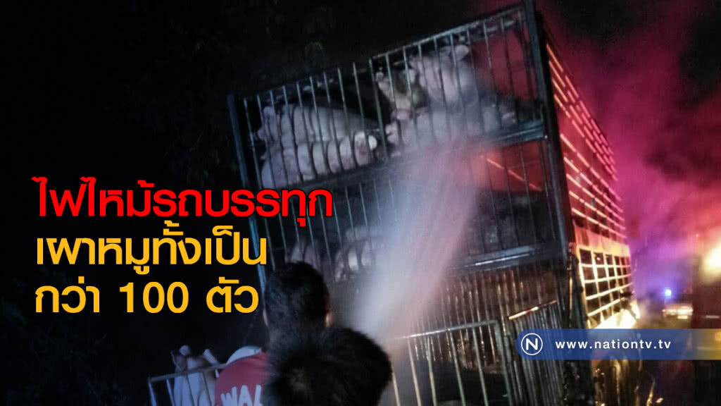 ไฟไหม้รถบรรทุก เผาหมูทั้งเป็นกว่า 100 ตัว ไฟไหม้รถบรรทุก เผาหมูทั้งเป็นกว่า 100 ตัว