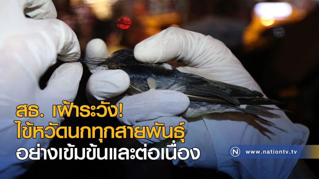 สธ. เฝ้าระวังไข้หวัดนกทุกสายพันธุ์อย่างเข้มข้นและต่อเนื่อง