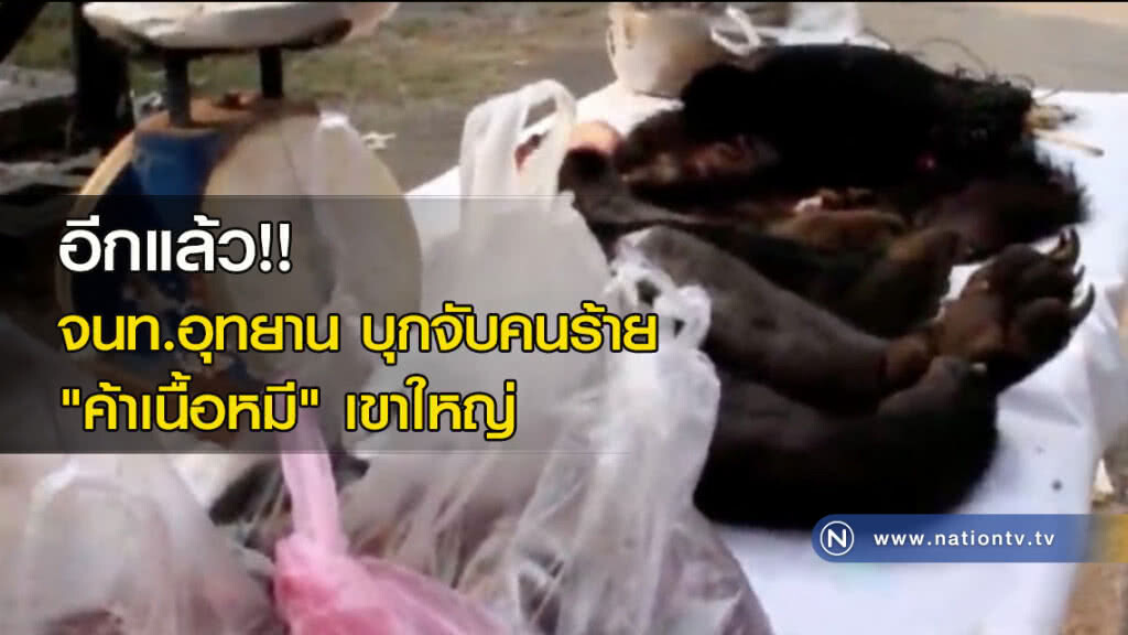 อีกแล้ว!! จนท.อุทยาน บุกจับคนร้าย "ค้าเนื้อหมี" เขาใหญ่ อีกแล้ว!! จนท.อุทยาน บุกจับคนร้าย "ค้าเนื้อหมี" เขาใหญ่
