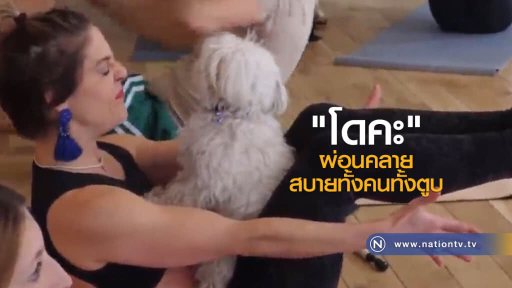 โยคะสำหรับสุนัข โยคะสำหรับสุนัข