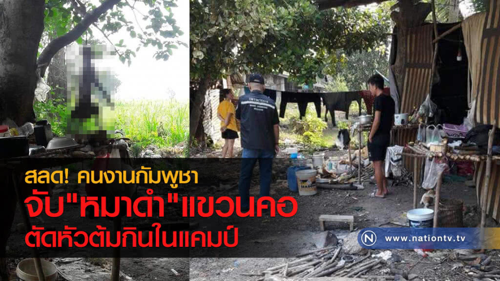 สลด! คนงานกัมพูชา
จับ"หมาดำ"แขวนคอ
ตัดหัวต้มกินในแคมป์ สลด! คนงานกัมพูชา
จับ"หมาดำ"แขวนคอ
ตัดหัวต้มกินในแคมป์