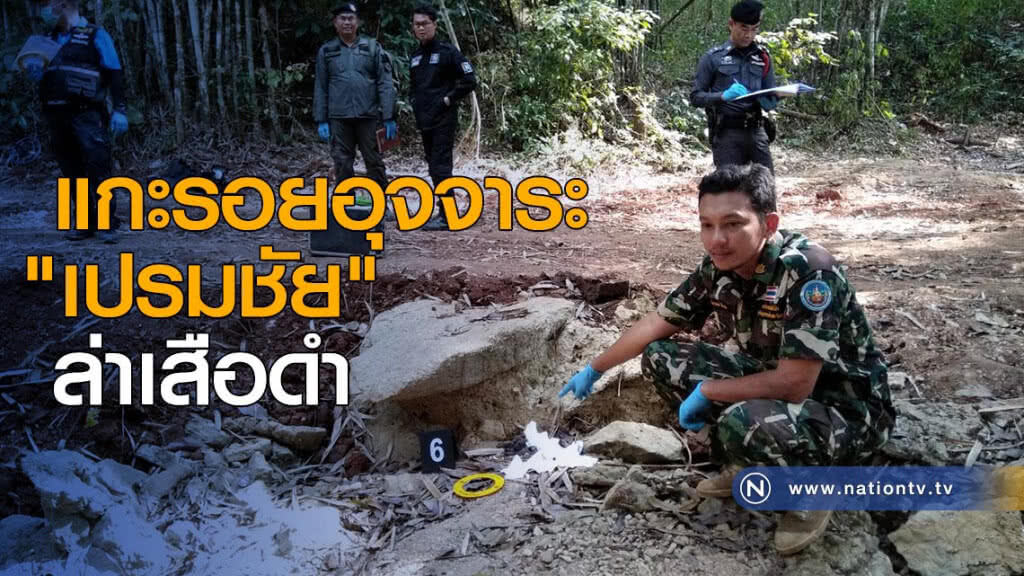แกะรอยอุจจาระ "เปรมชัย" ล่าเสือดำ แกะรอยอุจจาระ "เปรมชัย" ล่าเสือดำ