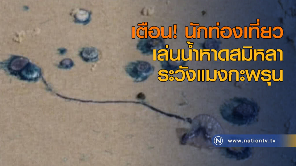 เตือน! นักท่องเที่ยวเล่นน้ำหาดสมิหลา ระวังแมงกะพรุน
