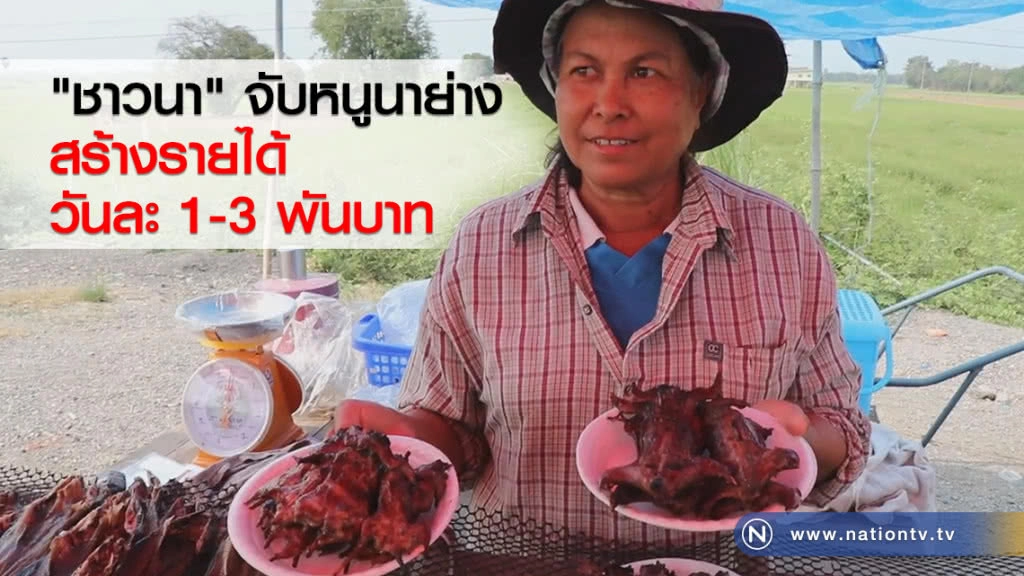 "ชาวนา" จับหนูนาย่างขายกำไรดี "ชาวนา" จับหนูนาย่างขายกำไรดี